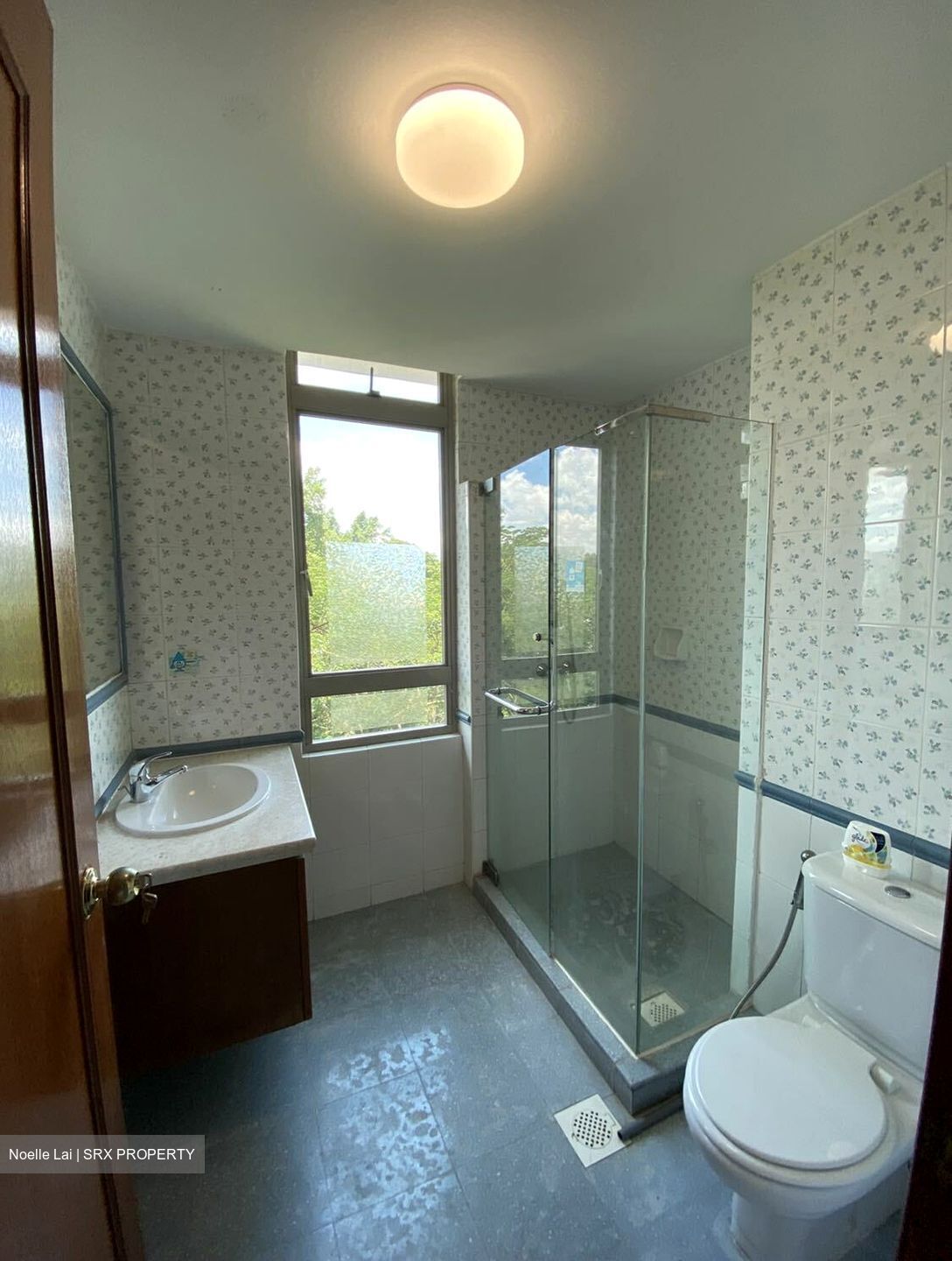 The Blossomvale (D21), Condominium #571867501